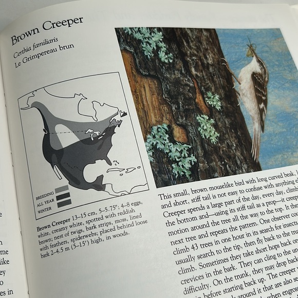 Canadian Songbirds And Their Ways Vintage 1982 Hardcover Book By T And J Rising - Picture 14 of 16